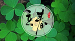 立春