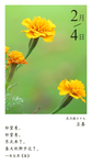 立春
