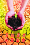 安全海报