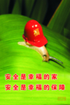 安全海报