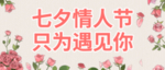 情人节