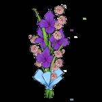 情人节