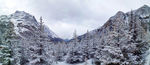红杉林雪景