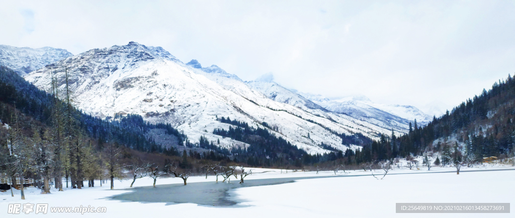 盆景摊雪景