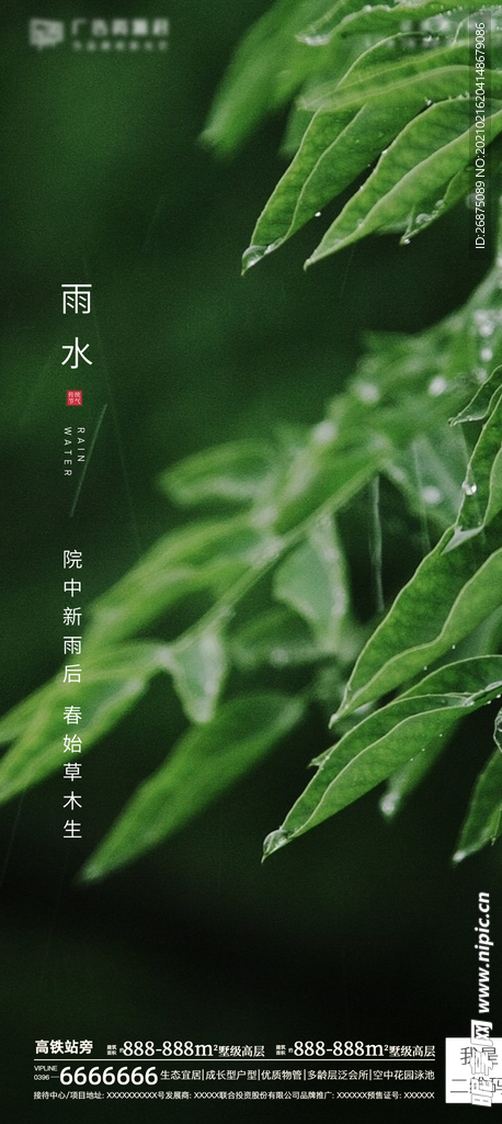 雨水海报