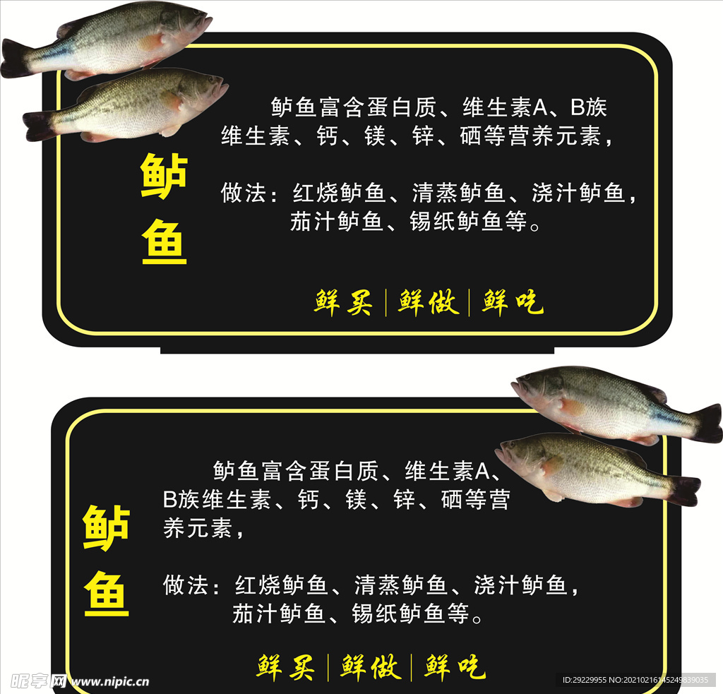 鲈鱼