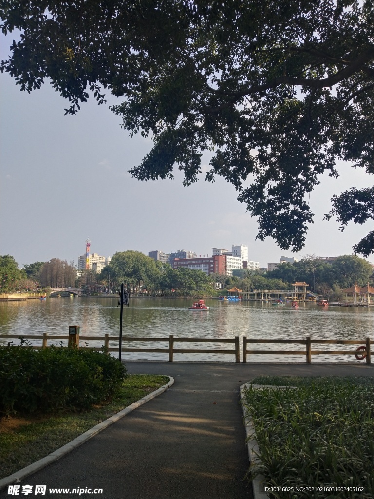 公园湖边景色图片