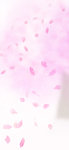 情人节