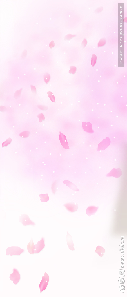 情人节