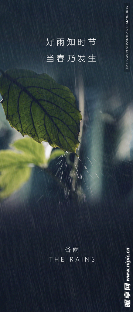 谷雨节气海报