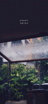 谷雨节气海报