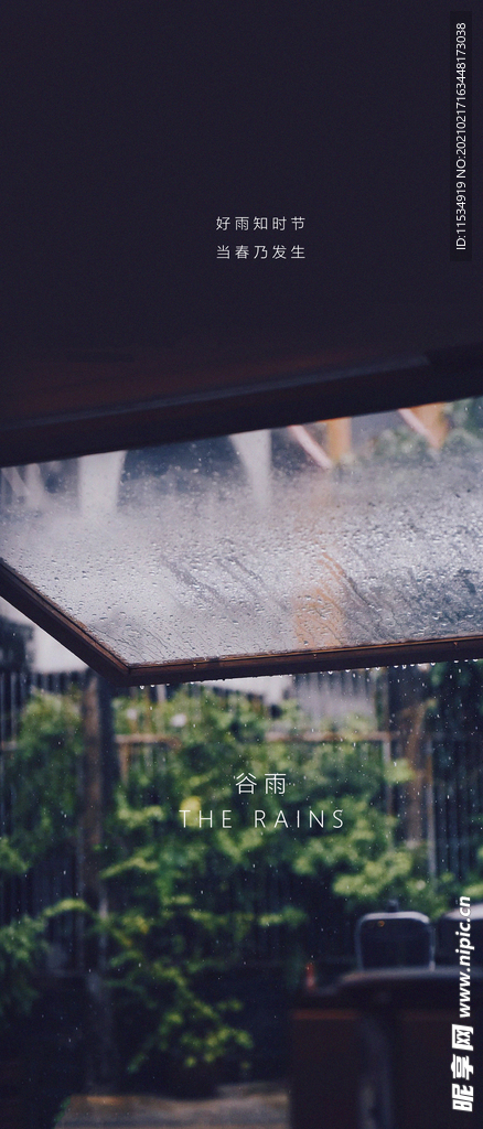 谷雨节气海报