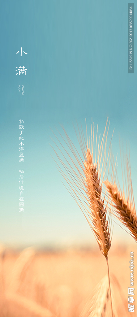 小满海报