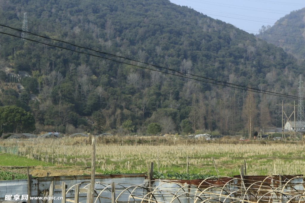 田野与大山