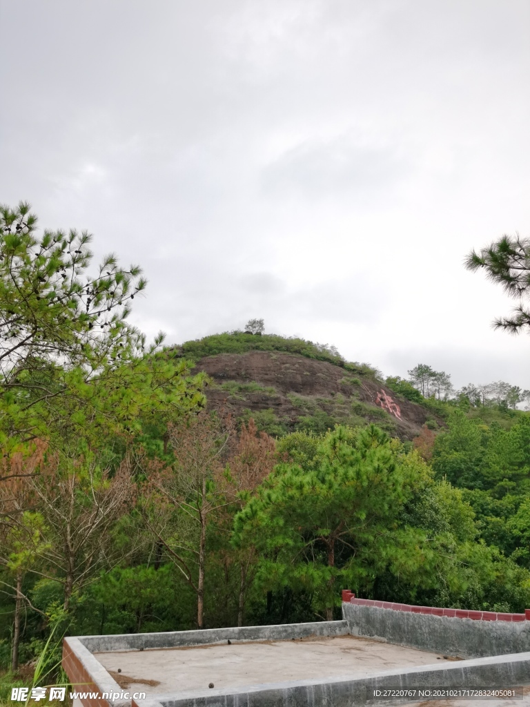 南方山丘风景