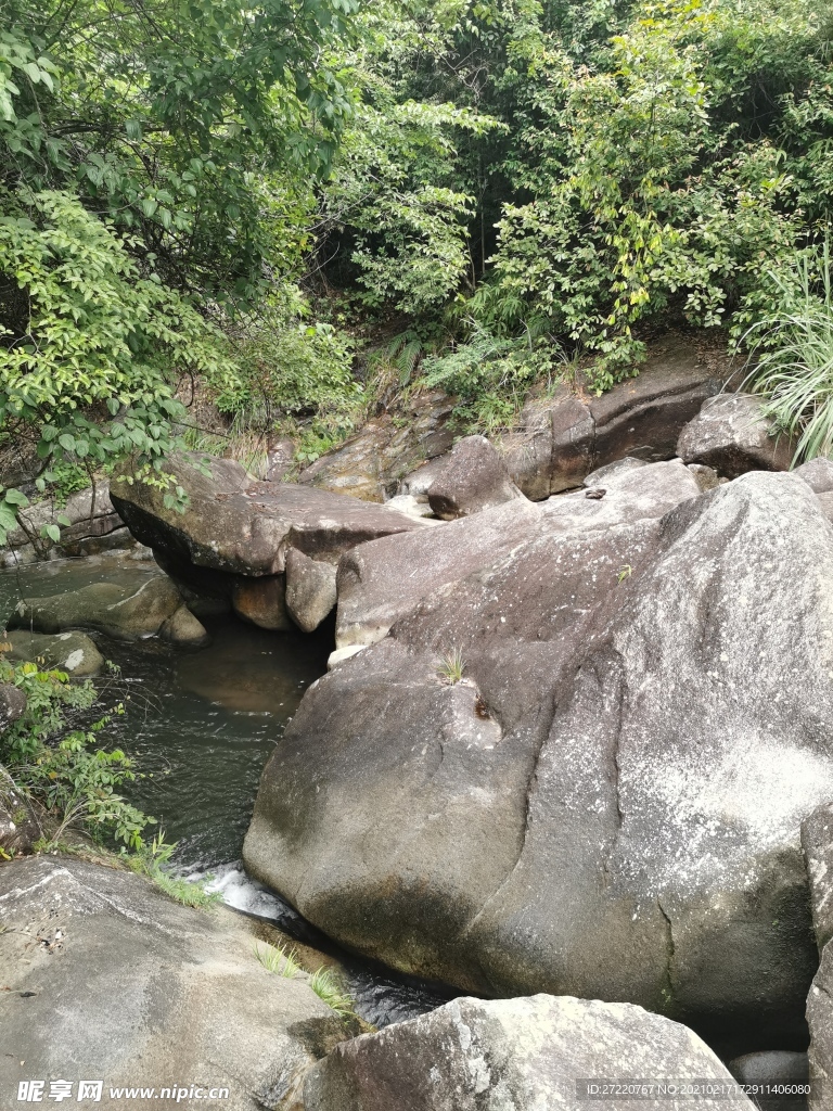 森林山谷河流风光