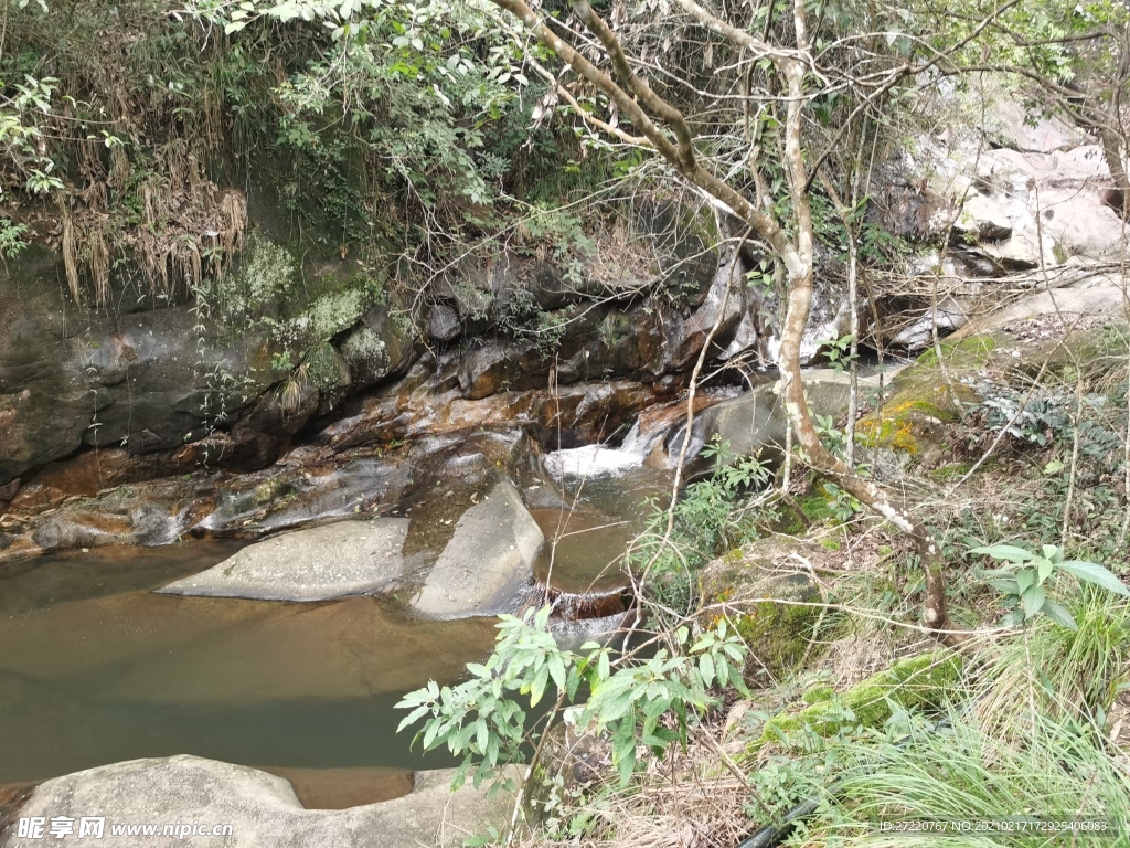 森林山水风景