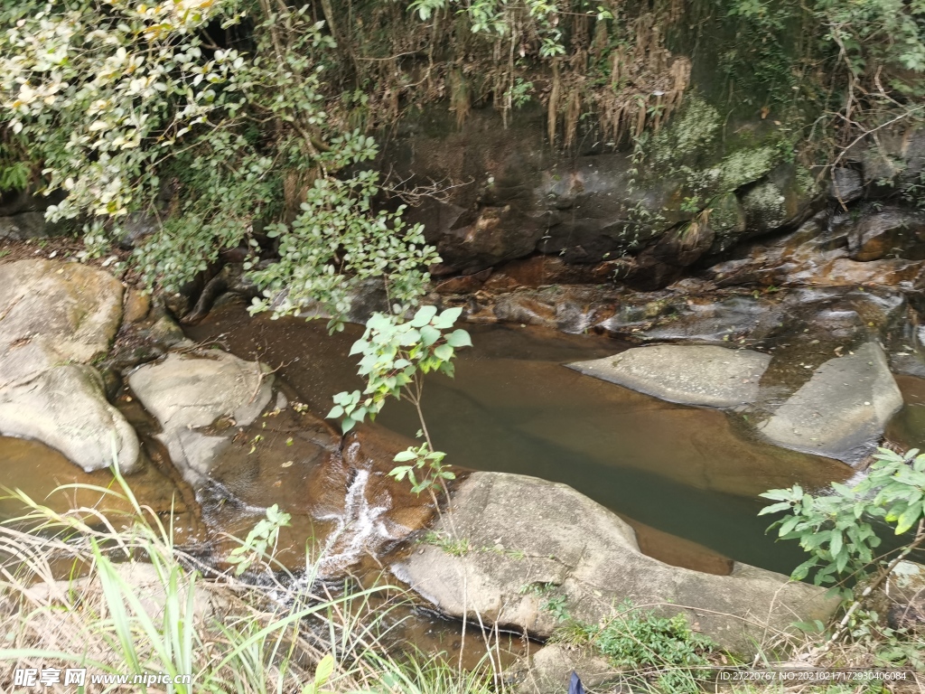 树林 水流风光