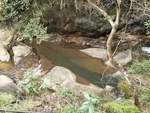 树林河流风光