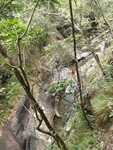 树林 山谷河流