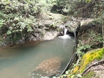森林水源