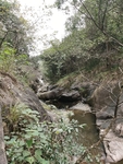 穿梭森林峡谷的河流