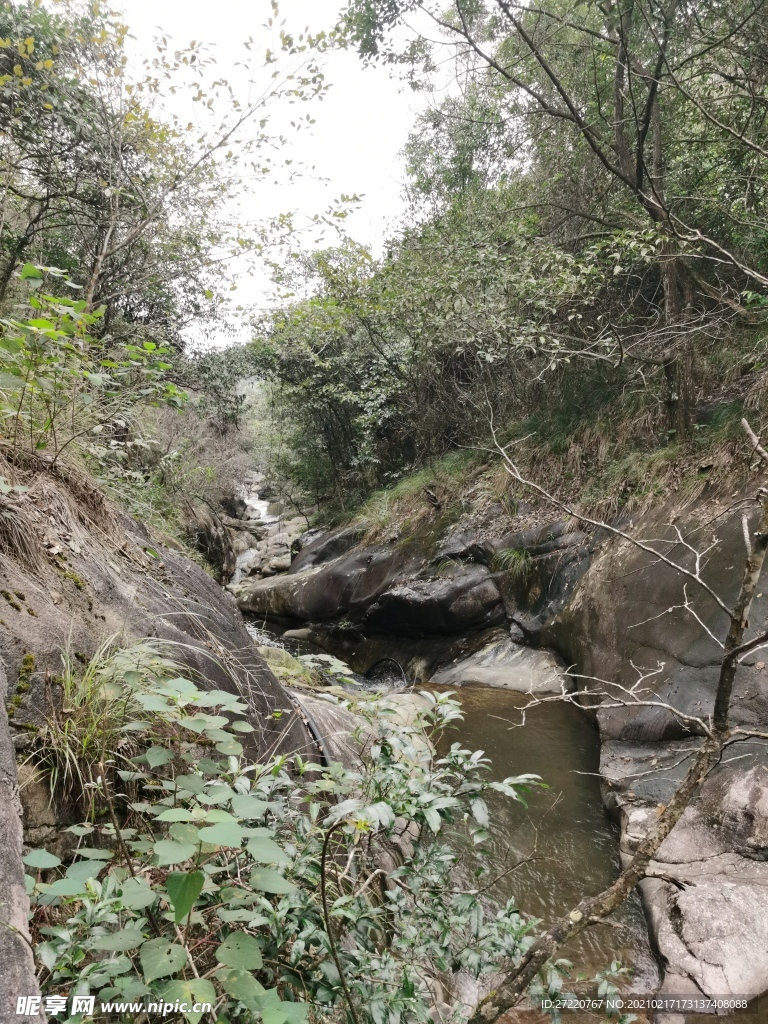 穿梭森林峡谷的河流