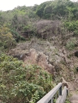 南方山林 山峰