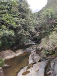 森林里的河流