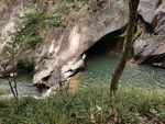 森林  水潭   河流