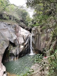 树林  山谷 河流 瀑布 深潭