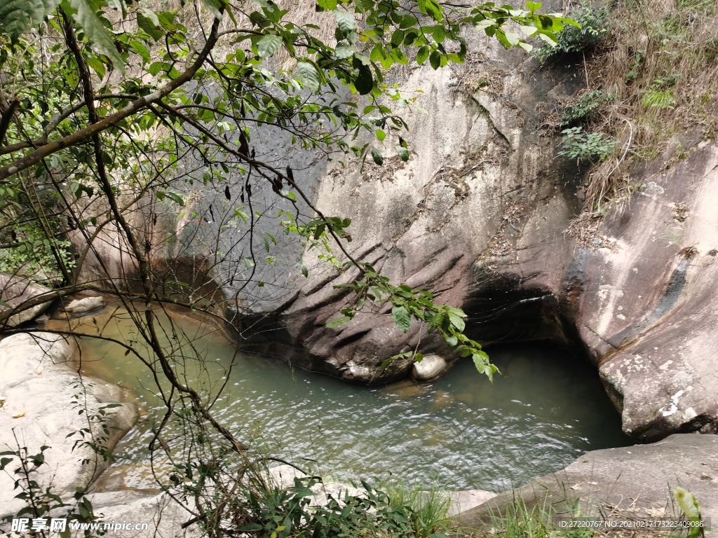 森林 山谷 河流