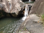 森林岩石流水