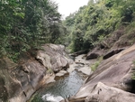 森林山谷 溪水