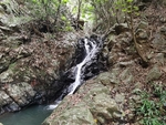 山林 山泉自然