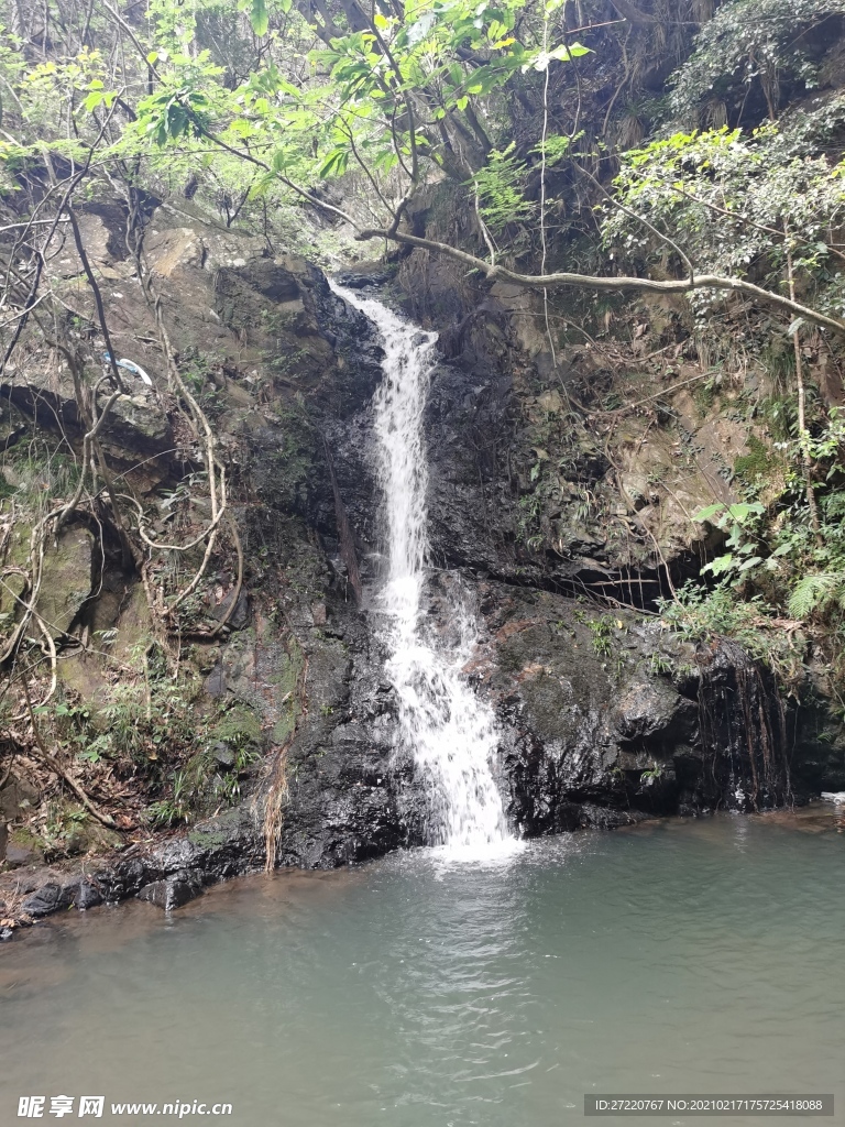 森林瀑布风景