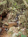 山脚  流水