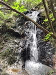 溪水   清澈