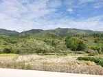 山地森林