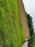 益塘水库草地