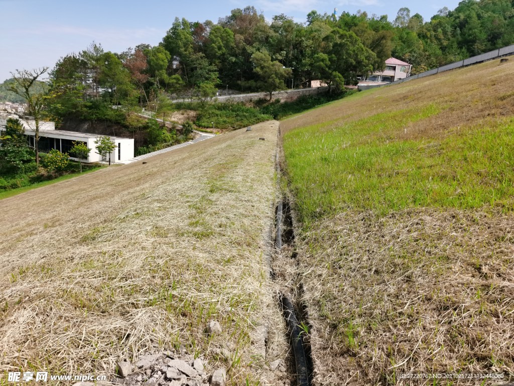 益塘水库 草地