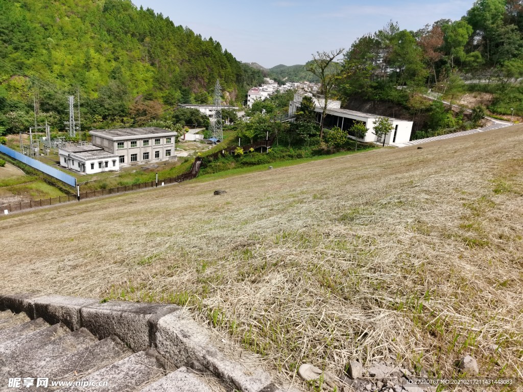 益塘水库草地 森林