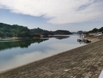 益塘水库湖岸