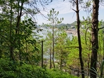 益塘水库风景