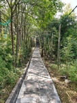 益塘水库风景区登山道