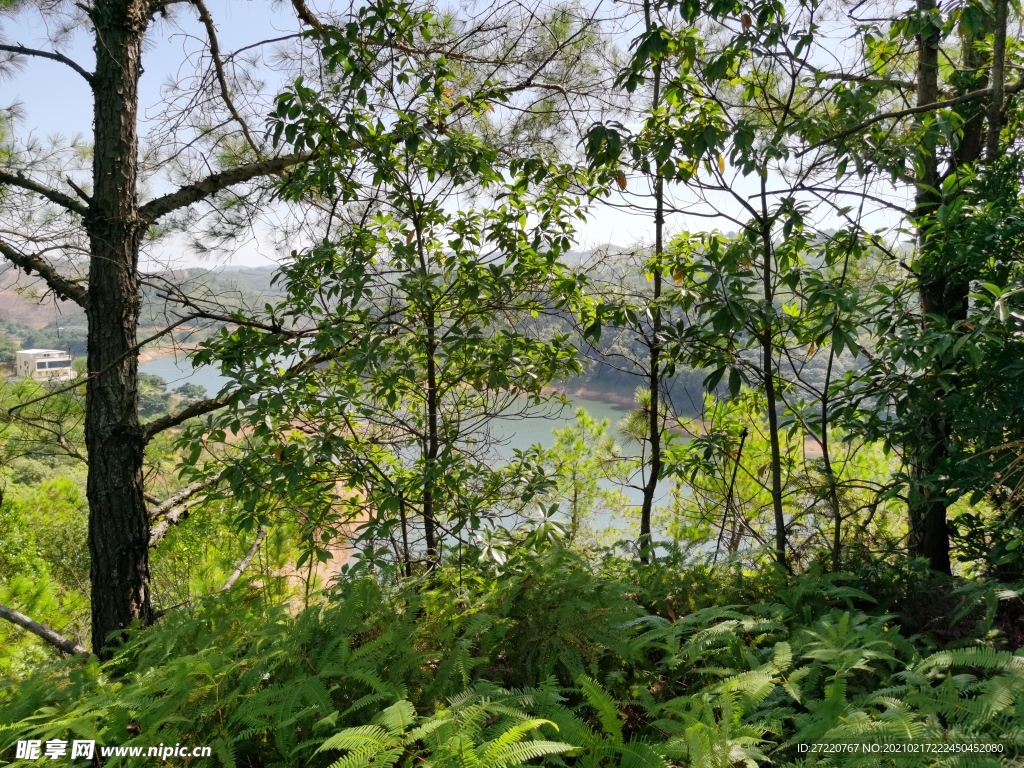 益塘水库风景