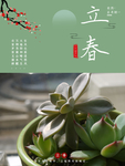 立春