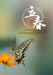 立春