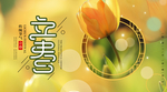 立春