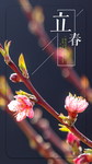 立春